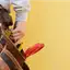 Handyman repair service in Milwaukee, WI for home fixes and improvements